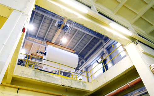 papier toaletowy i ręcznikowy